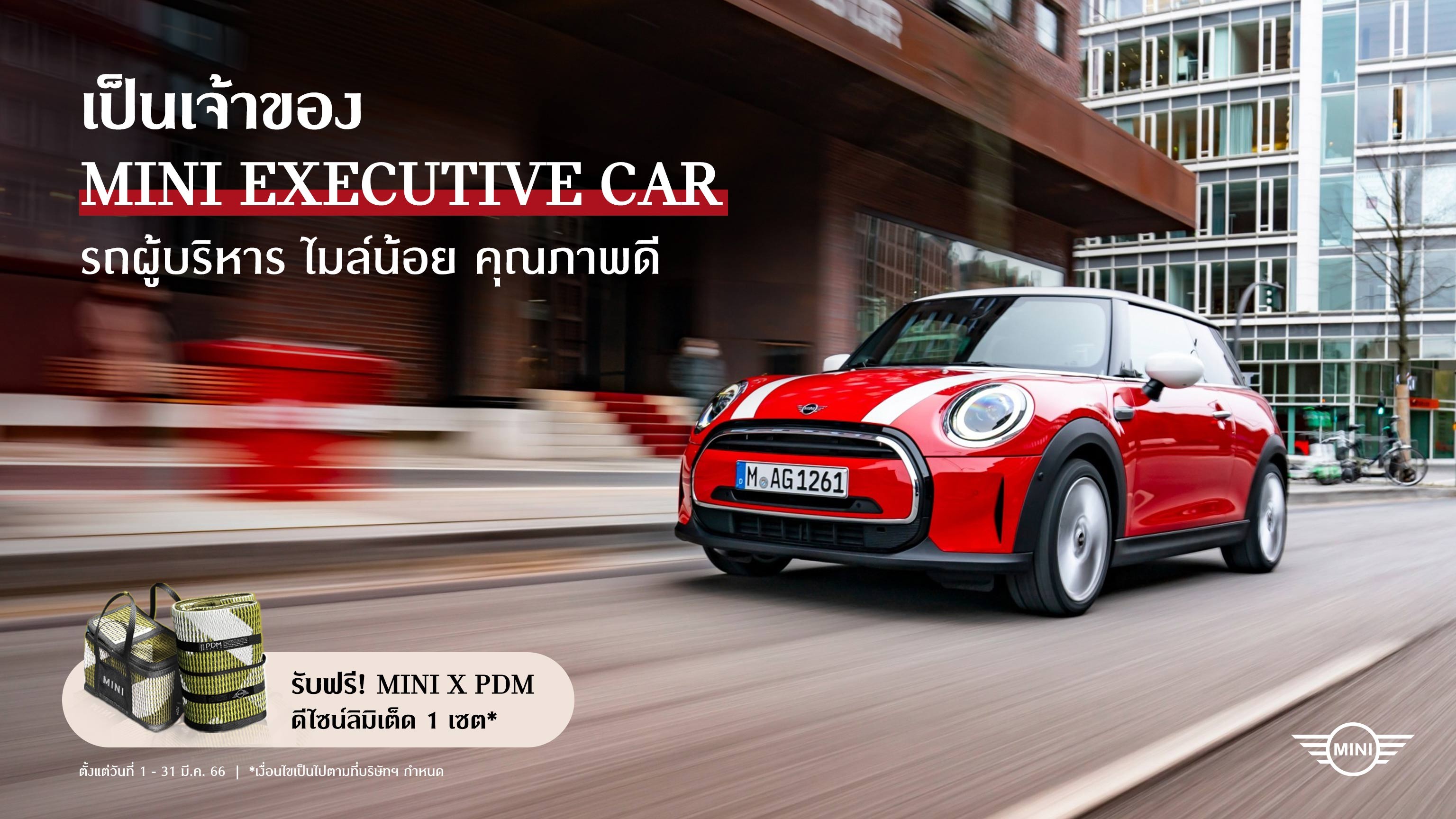 Mini Executive 2022